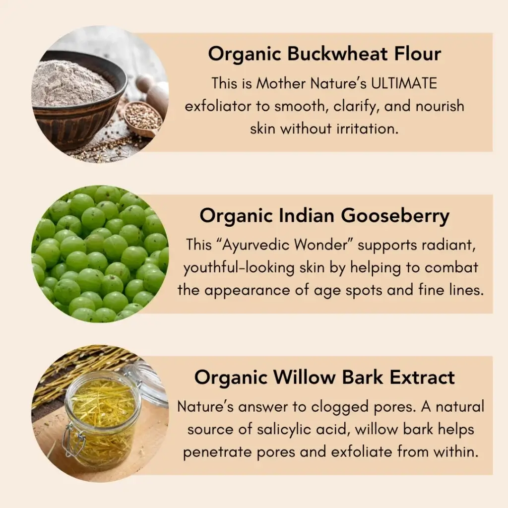 List of Age-Defying Skin Exfoliator ingredients including: organic buckwheat flour, organic indian gooseberry, and organic willow bark extract.