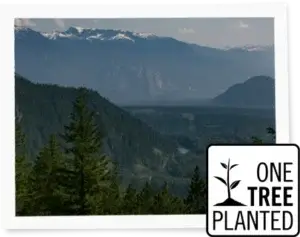 One Tree Planted Logo overlaid on photo of mountains with trees