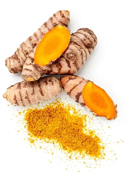 Photo of turmeric tuber some cut open
