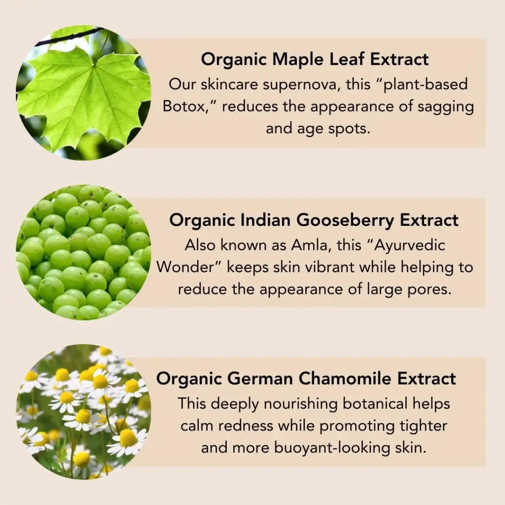 List of serum ingredients including: Organic maple leaf extract: Our skincare supernova, this "plant-based Botox", reduces the appearance of sagging and age spots; Organic Indian gooseberry extract: also known as Amla, this "Ayurvedic Wonder" keeps skin virbrant while helping reduce the appearance of large pores; Organic German chamomile extract: This deeply nourishing botanical helps calm redness while promoting tighter and more buoyant-looking skin.