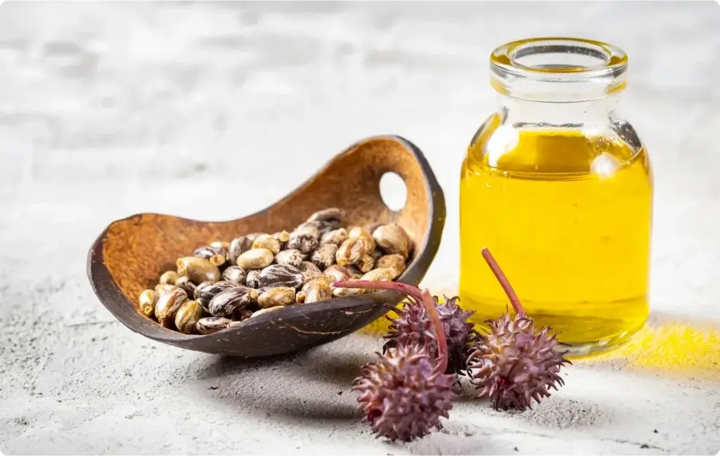 A small glass jar filled with yellow castor oil sits beside a wooden bowl containing mottled brown and white castor beans. Two spiky red seed pods from the castor plant are also displayed, visually linking the raw ingredients to the extracted oil.